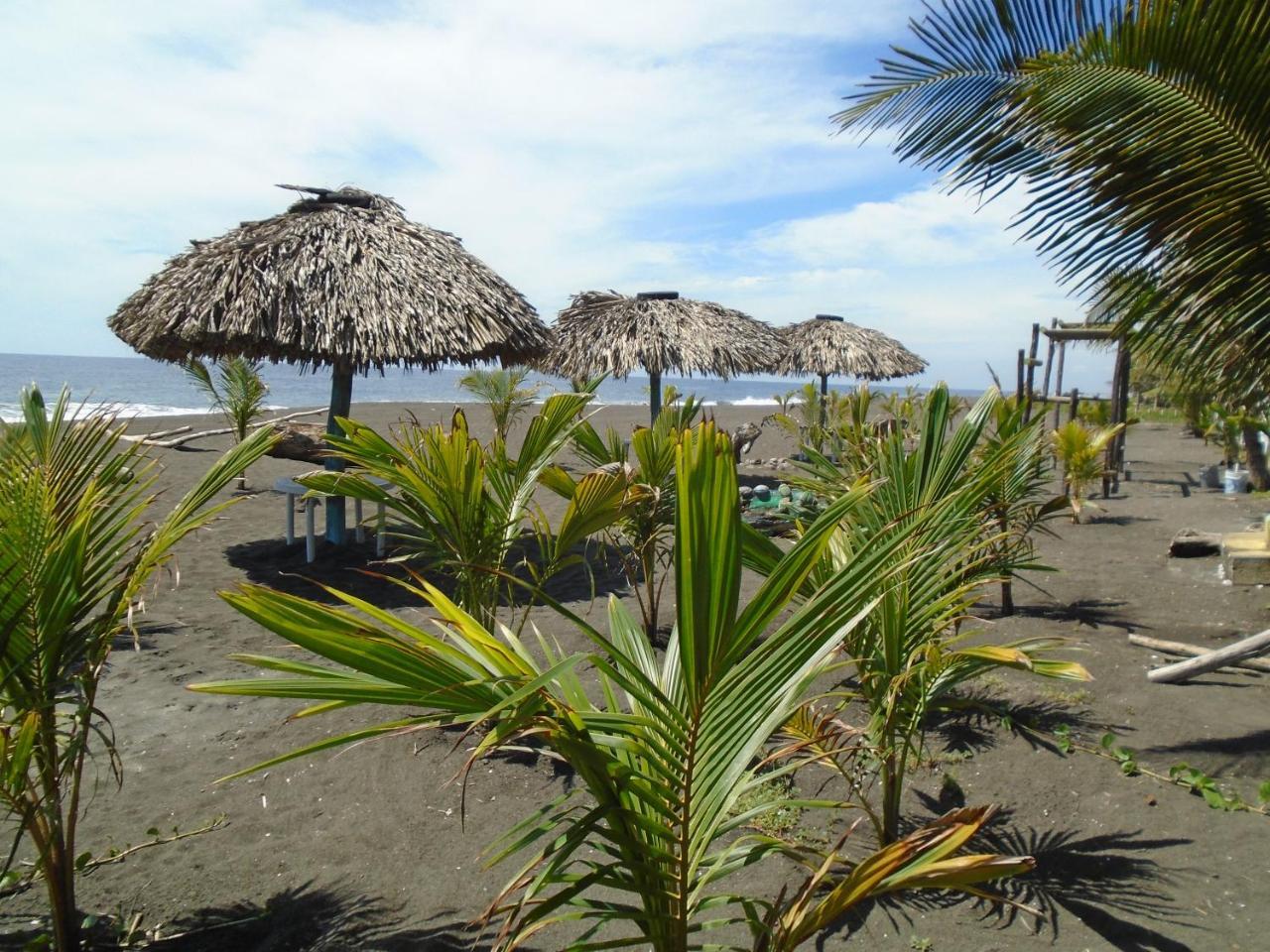 Marbella Eco Lodge Monterrico Εξωτερικό φωτογραφία